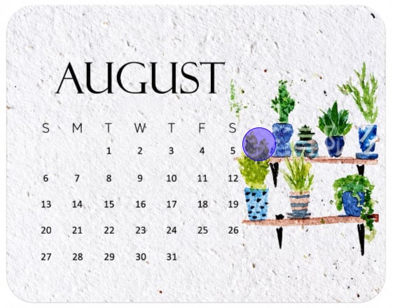 🌱 2027 Plantable Seed Paper Calendar — Use It, Then Grow It